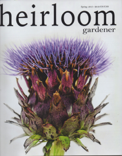 The Regal Thistle – Heirloom Artichokes