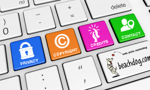 privacy, copyright, credit, contact