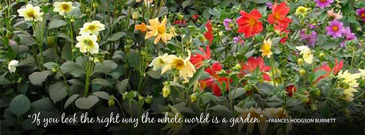 The whole world is a garden